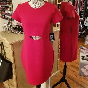 Sexy little red dress